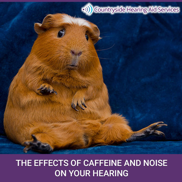 The Effects of Caffeine and Noise on Your Hearing