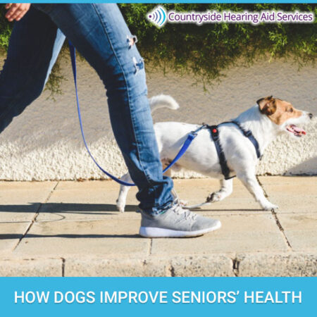 How Dogs Improve Seniors’ Health
