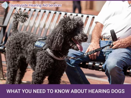 Hearing dogs can bring many advantages to their owners