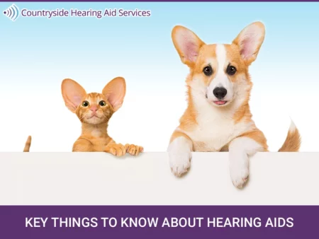 There are Similarities Between Hearing Aids